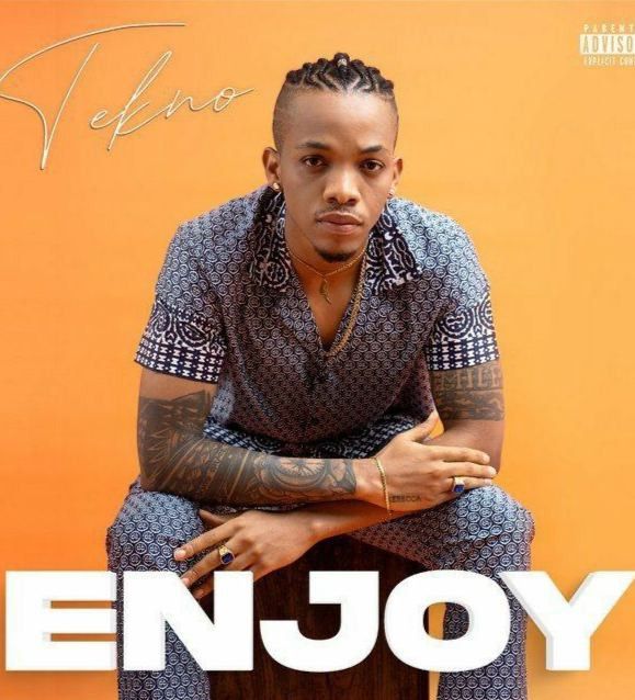 Tekno, Nigerian artist